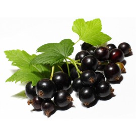 بذر انگور فرنگی سیاه