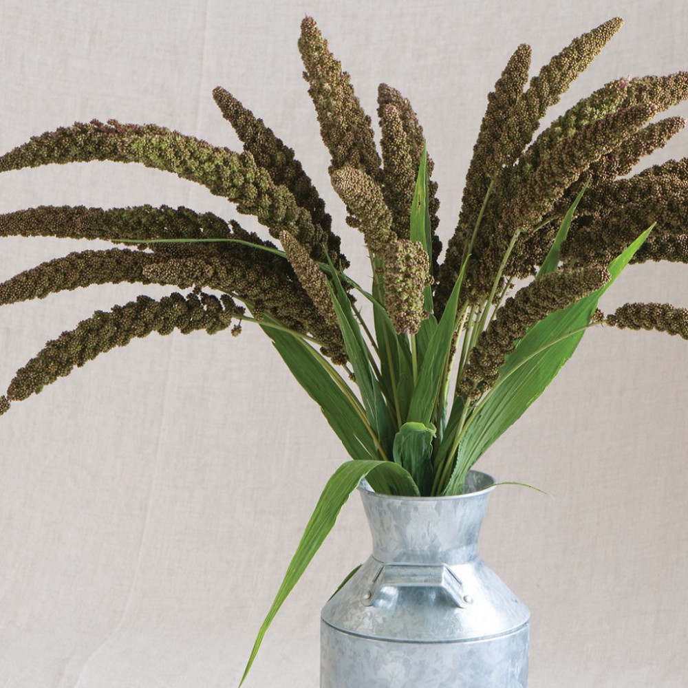 بذر چمن زینتی کوهستانی بذر چمن زینتی کوهستانی