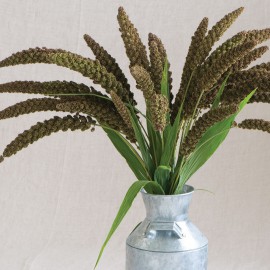 بذر چمن زینتی کوهستانی