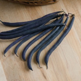 بذر لوبیا ولور