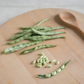 بذر لوبیا فلاگرانو