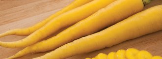 بذر هویج زرد ایرانی