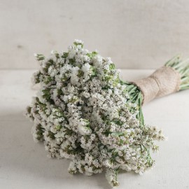 بذر گل استاتیس سفید سیکر