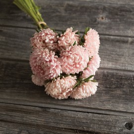 بذر گل مینای چینی Tower Chamois