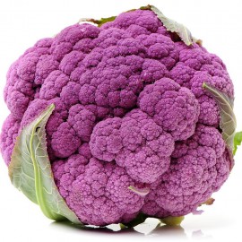 بذر گل کلم بنفش کاتانس