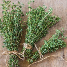 بذر آویشن شیرازی