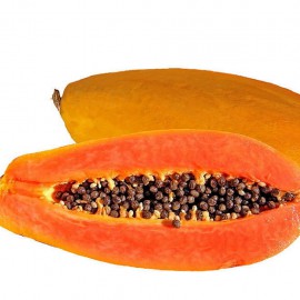 بذر پاپایا کاک دام