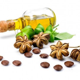 بذر بادام زمینی کوهی