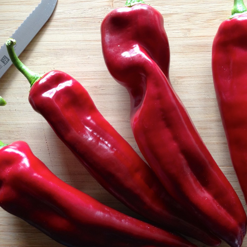 بذر فلفل شیرین پدرال بذر فلفل شیرین پدرال