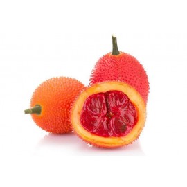 بذر میوه گاک
