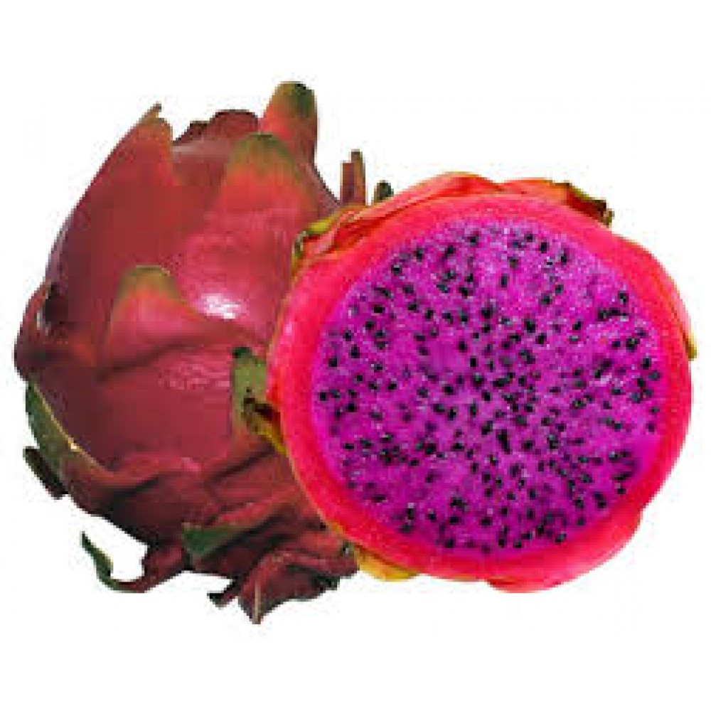 بذر میوه اژدها بنفش بذر میوه اژدها بنفش