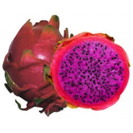 بذر میوه اژدها بنفش بذر میوه اژدها بنفش