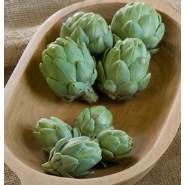 بذر آرتیشو - کنگر فرنگی ستاره سلطنتی بذر آرتیشو - کنگر فرنگی ستاره سلطنتی