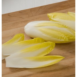 بذر کاسنی فرنگی توتم F1 ارگانیک