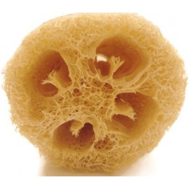 بذر لوفا یا لیف گیاهی