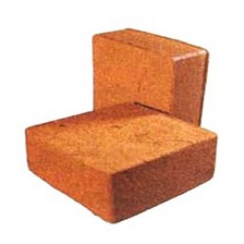کوکوپیت سریلانکا