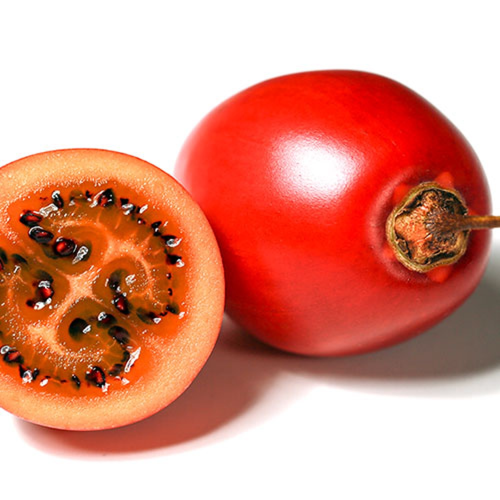 بذر میوه تاماریلو بذر میوه تاماریلو