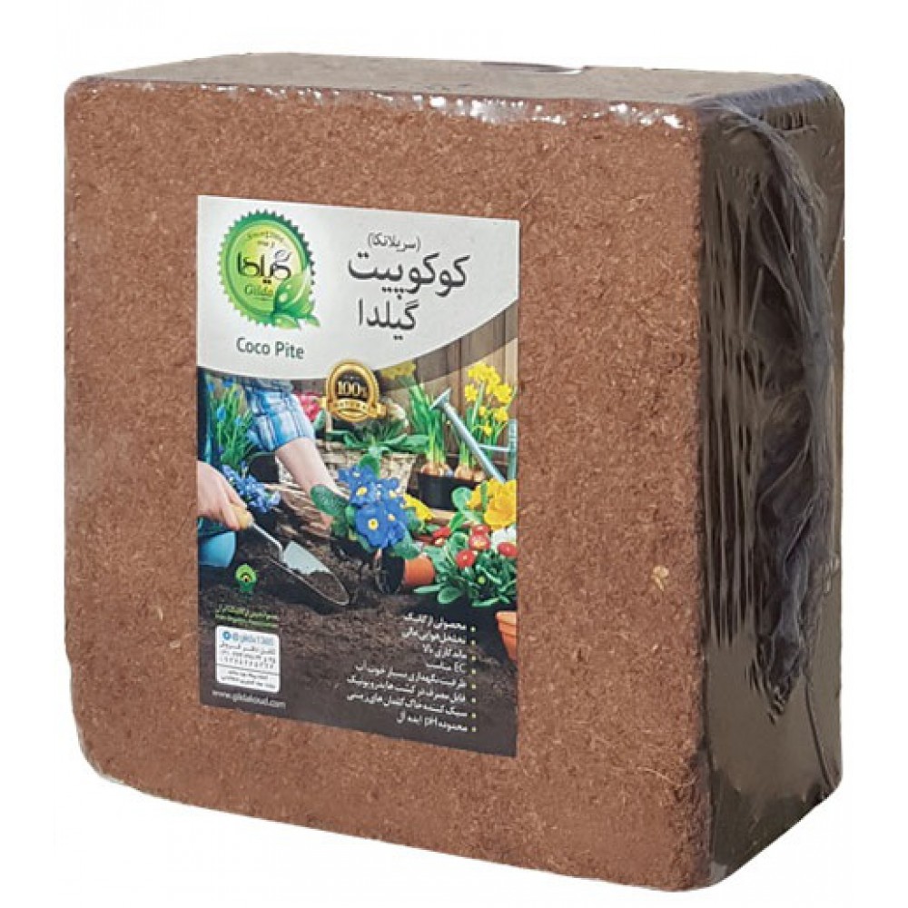 کوکوپیت گیلدا کوکوپیت گیلدا