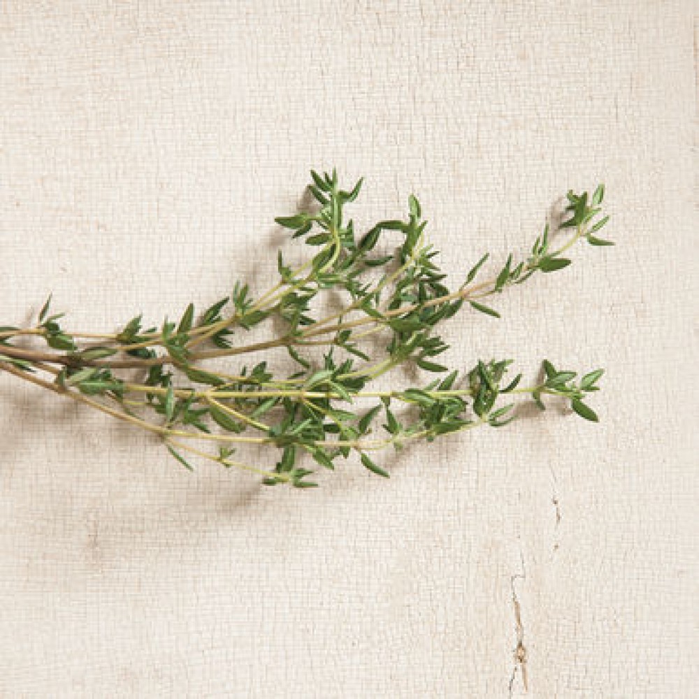 بذر آویشن تابستانی