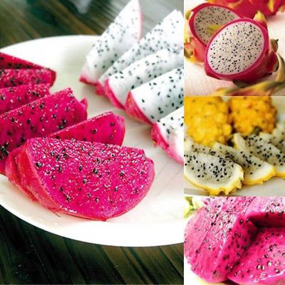 بذر میوه اژدها میکس بذر میوه اژدها میکس