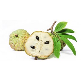 بذر کاستارد اپل