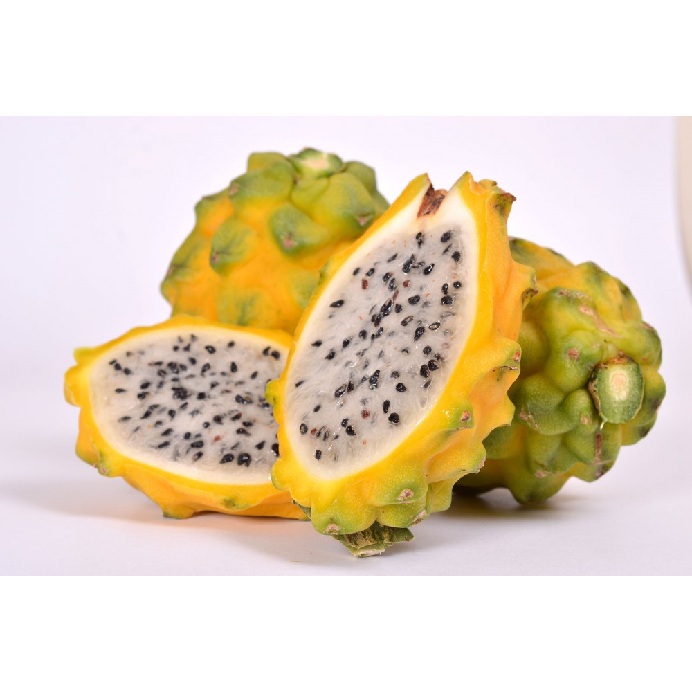 بذر میوه اژدها زرد بذر میوه اژدها زرد