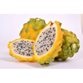 بذر میوه اژدها زرد