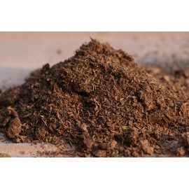 خاک مخصوص گیاهان گوشت خوار