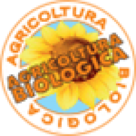 کود فیلوتون