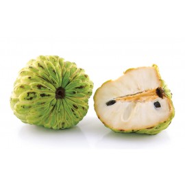 بذر شوگر اپل سبز