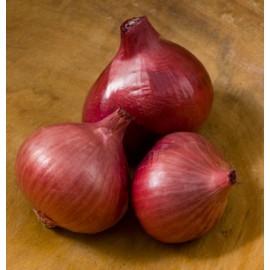 بذر موسیر کاملوت F1