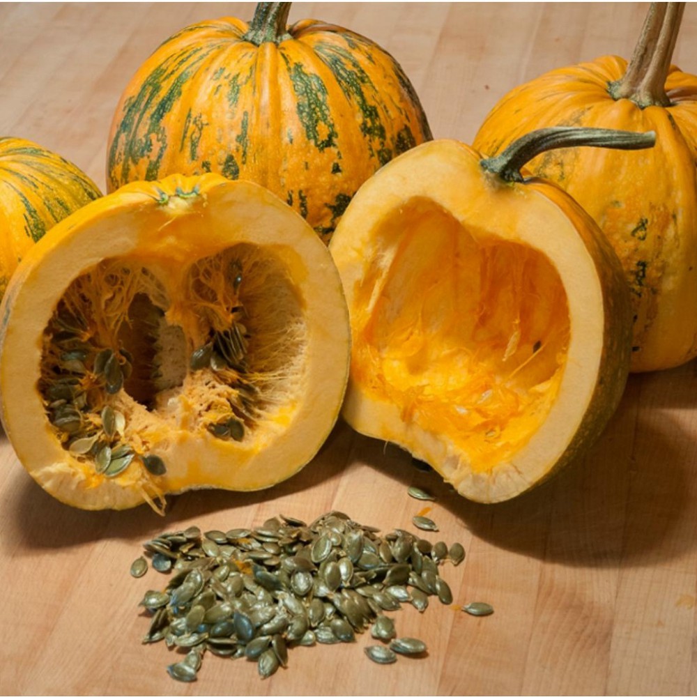 بذر کدو تخمه کاغذی بذر کدو تخمه کاغذی