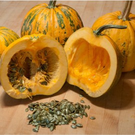 بذر کدو تخمه کاغذی