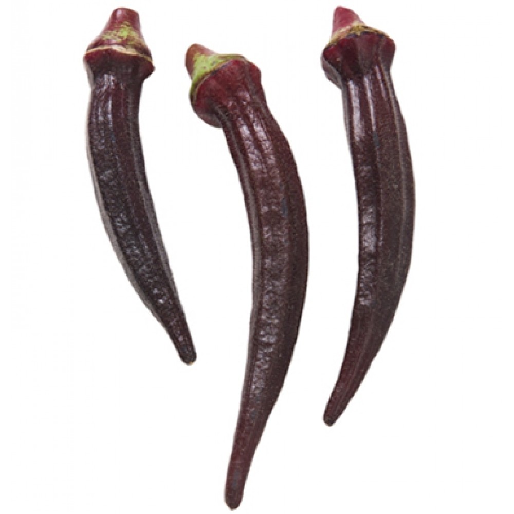 بذر بامیه قرمز کبود بذر بامیه قرمز کبود