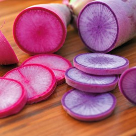 بذر تربچه میکس