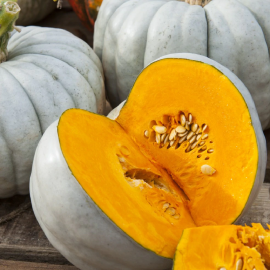 بذر کدو تنبل جراح دل