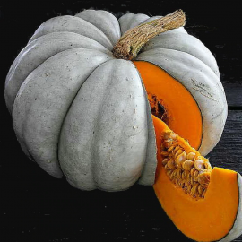 بذر کدو تنبل جراح دل