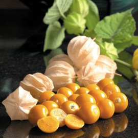 میوه فیسالیس زرد درشت