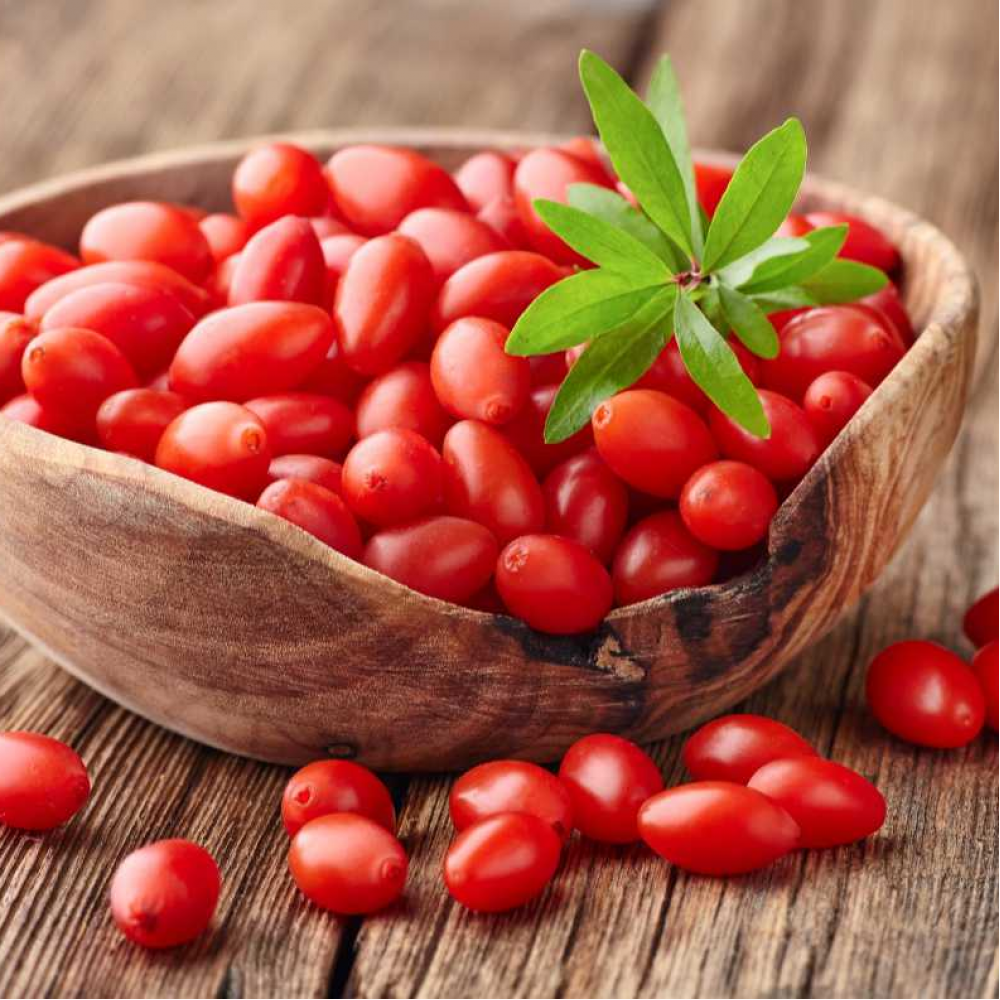نهال گوجی بری نهال گوجی بری