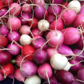 بذر تربچه میکس