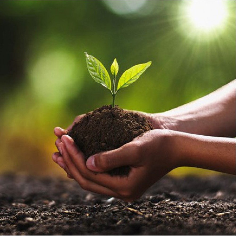 کود تقویتی ارگانیک کود تقویتی ارگانیک