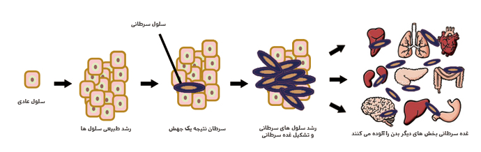 دلیل سرطان چیست؟