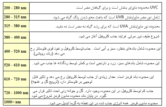 چگونگی تاثیر نور بر رشد گیاه