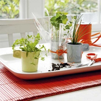 ایده های نگه داری سبزیجات در خانه