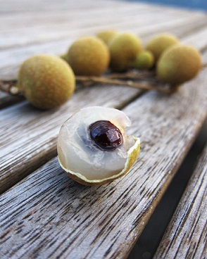 میوه چشم اژدها (Longan یا Dragon Eye)