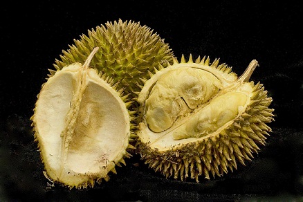 میوه دوریان (Durian)
