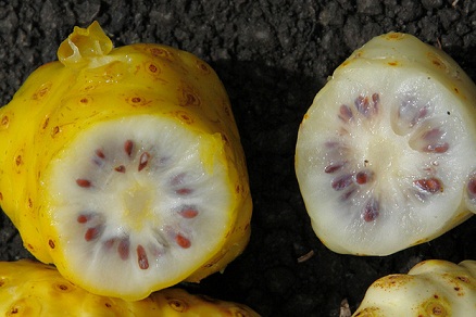 میوه فراتوت (Noni Fruit)