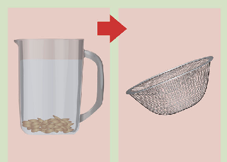 استفاده از گل داوودی برای درست کردن آفت کش