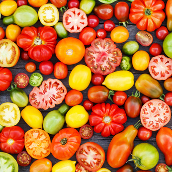 انواع گوجه فرنگی (tomato varieties)