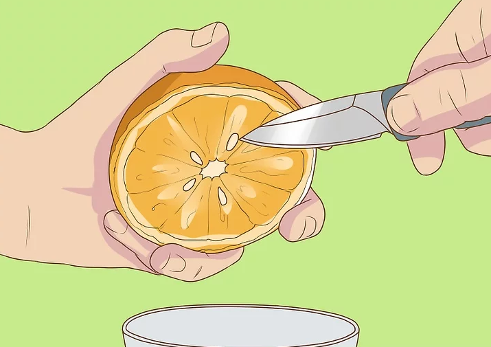 Como plantar naranjas